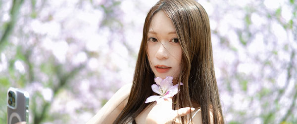 广东三月带女王拍紫荆花+航拍风景合集
